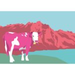 Pink Cow