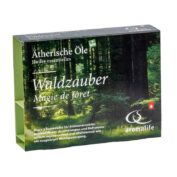 Waldzauber